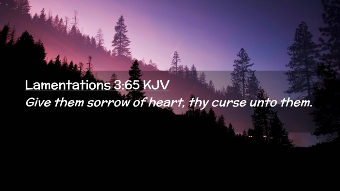 Picture 02 - Lamentations 3:65 KJV Desktop Wallpaper - Give them sorrow of heart, thy curse unto - Desktop Bible Verse Wallpaper