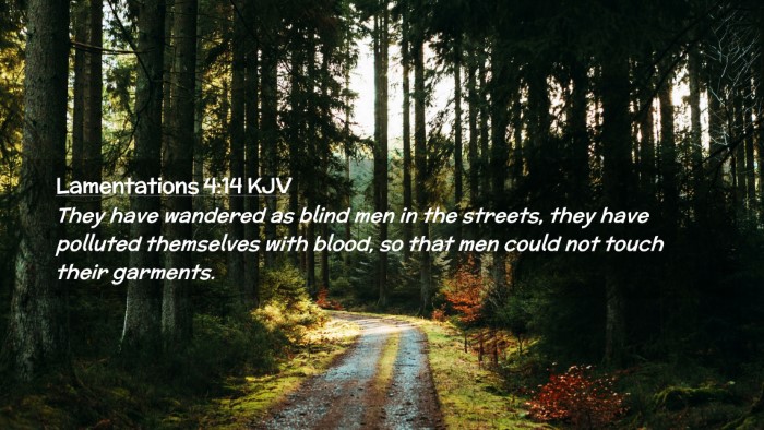 Picture 02 - Lamentations 4:14 KJV Desktop Wallpaper - They have wandered as blind men in the streets, - Desktop Bible Verse Wallpaper