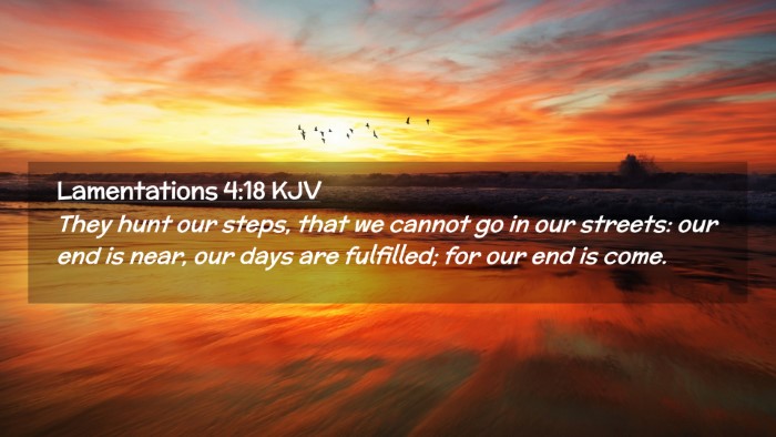 Picture 02 - Lamentations 4:18 KJV Desktop Wallpaper - They hunt our steps, that we cannot go in our - Desktop Bible Verse Wallpaper