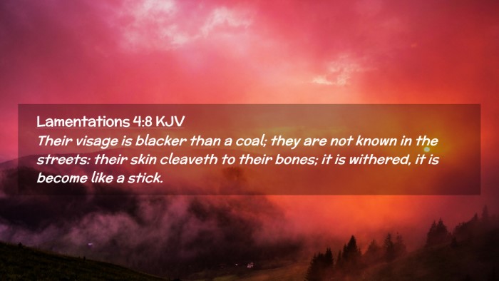 Picture 02 - Lamentations 4:8 KJV Desktop Wallpaper - Their visage is blacker than a coal; they are not - Desktop Bible Verse Wallpaper