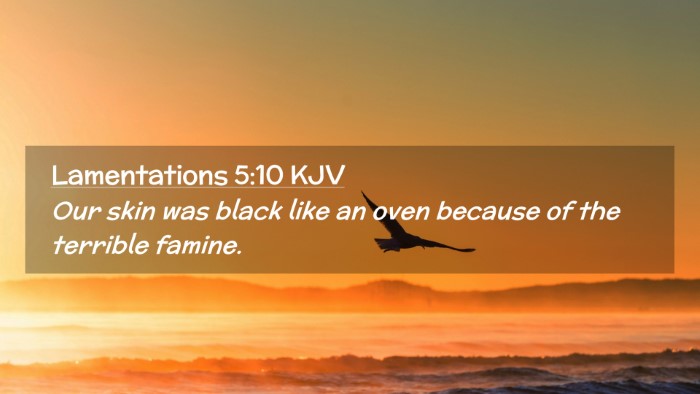 Picture 02 - Lamentations 5:10 KJV Desktop Wallpaper - Our skin was black like an oven because of the - Desktop Bible Verse Wallpaper