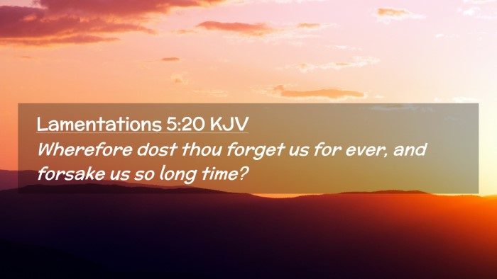 Picture 02 - Lamentations 5:20 KJV Desktop Wallpaper - Wherefore dost thou forget us for ever, and - Desktop Bible Verse Wallpaper