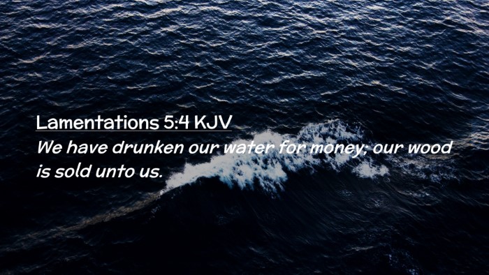 Picture 02 - Lamentations 5:4 KJV Desktop Wallpaper - We have drunken our water for money; our wood is - Desktop Bible Verse Wallpaper