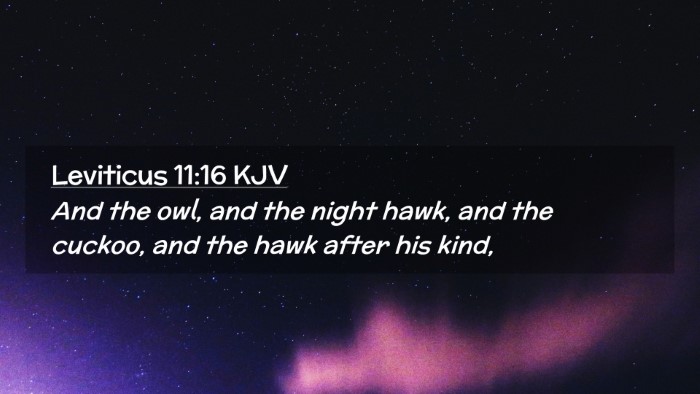 Picture 02 - Leviticus 11:16 KJV Desktop Wallpaper - And the owl, and the night hawk, and the cuckoo, - Desktop Bible Verse Wallpaper