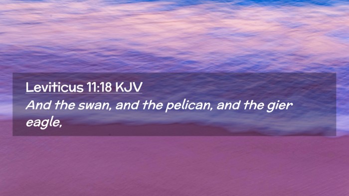 Picture 02 - Leviticus 11:18 KJV Desktop Wallpaper - And the swan, and the pelican, and the gier - Desktop Bible Verse Wallpaper