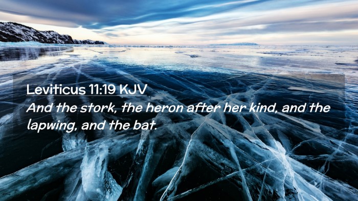 Picture 02 - Leviticus 11:19 KJV Desktop Wallpaper - And the stork, the heron after her kind, and the - Desktop Bible Verse Wallpaper