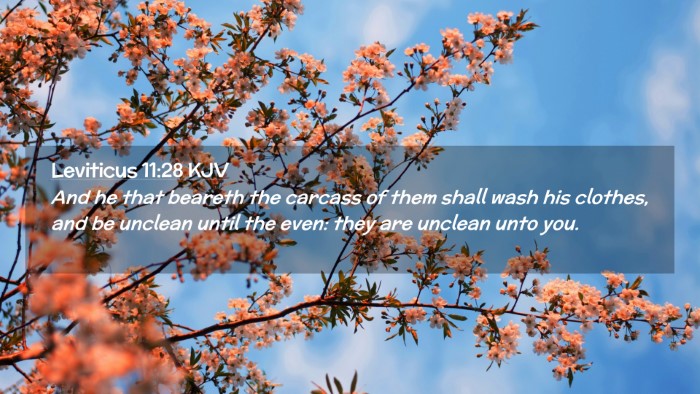 Picture 02 - Leviticus 11:28 KJV Desktop Wallpaper - And he that beareth the carcass of them shall - Desktop Bible Verse Wallpaper