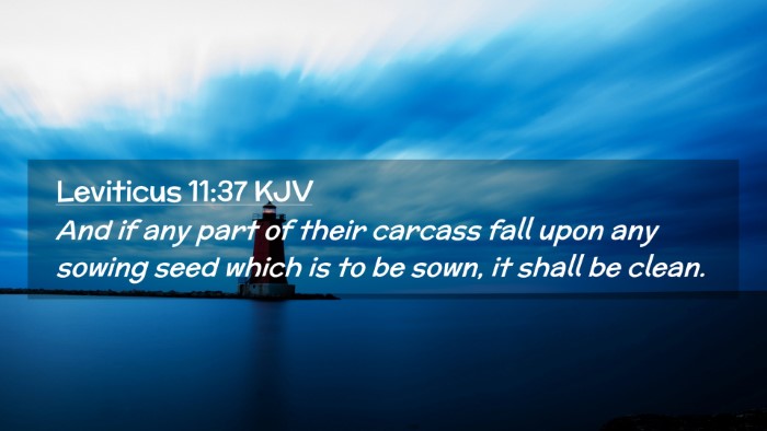 Picture 02 - Leviticus 11:37 KJV Desktop Wallpaper - And if any part of their carcass fall upon any - Desktop Bible Verse Wallpaper