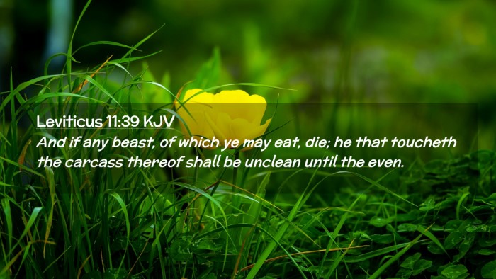Picture 02 - Leviticus 11:39 KJV Desktop Wallpaper - And if any beast, of which ye may eat, die; he - Desktop Bible Verse Wallpaper