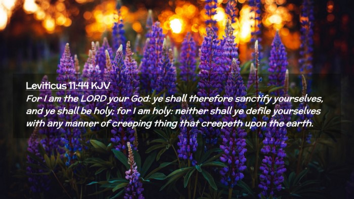 Picture 02 - Leviticus 11:44 KJV Desktop Wallpaper - For I am the LORD your God: ye shall therefore - Desktop Bible Verse Wallpaper