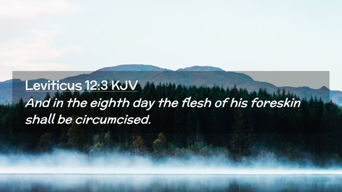 Picture 02 - Leviticus 12:3 KJV Desktop Wallpaper - And in the eighth day the flesh of his foreskin - Desktop Bible Verse Wallpaper