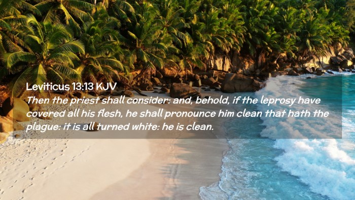 Picture 02 - Leviticus 13:13 KJV Desktop Wallpaper - Then the priest shall consider: and, behold, if - Desktop Bible Verse Wallpaper