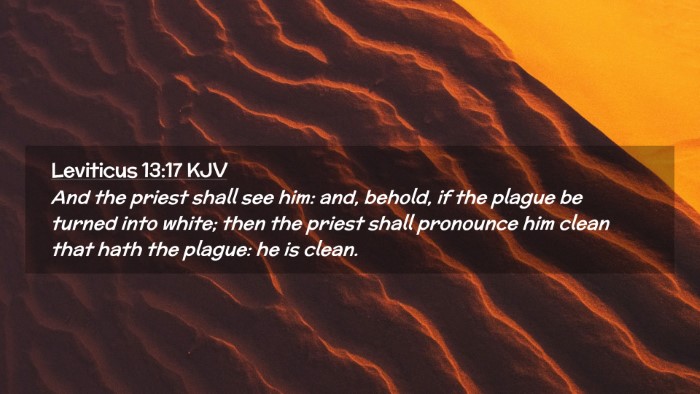 Picture 02 - Leviticus 13:17 KJV Desktop Wallpaper - And the priest shall see him: and, behold, if the - Desktop Bible Verse Wallpaper