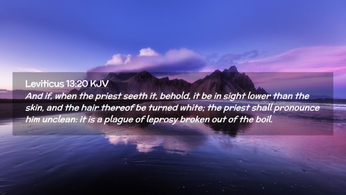 Picture 02 - Leviticus 13:20 KJV Desktop Wallpaper - And if, when the priest seeth it, behold, it be - Desktop Bible Verse Wallpaper