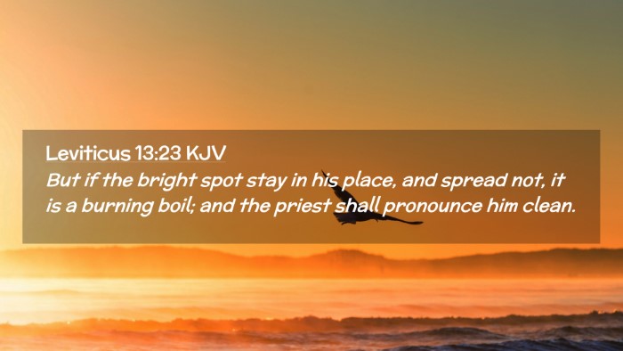 Picture 02 - Leviticus 13:23 KJV Desktop Wallpaper - But if the bright spot stay in his place, and - Desktop Bible Verse Wallpaper