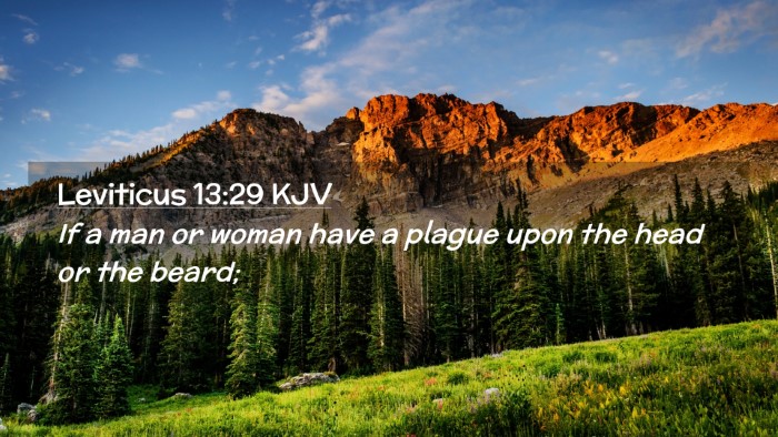 Picture 02 - Leviticus 13:29 KJV Desktop Wallpaper - If a man or woman have a plague upon the head or - Desktop Bible Verse Wallpaper
