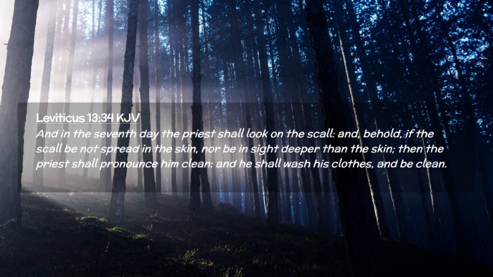 Picture 02 - Leviticus 13:34 KJV Desktop Wallpaper - And in the seventh day the priest shall look on - Desktop Bible Verse Wallpaper