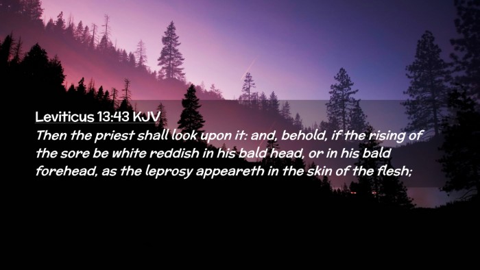 Picture 02 - Leviticus 13:43 KJV Desktop Wallpaper - Then the priest shall look upon it: and, behold, - Desktop Bible Verse Wallpaper
