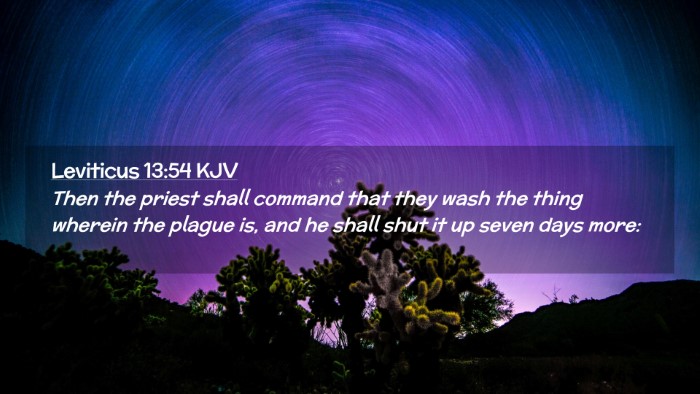 Picture 02 - Leviticus 13:54 KJV Desktop Wallpaper - Then the priest shall command that they wash the - Desktop Bible Verse Wallpaper