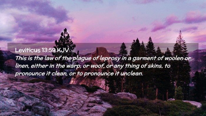 Picture 02 - Leviticus 13:59 KJV Desktop Wallpaper - This is the law of the plague of leprosy in a - Desktop Bible Verse Wallpaper