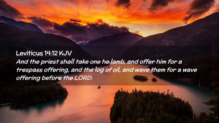 Picture 02 - Leviticus 14:12 KJV Desktop Wallpaper - And the priest shall take one he lamb, and offer - Desktop Bible Verse Wallpaper