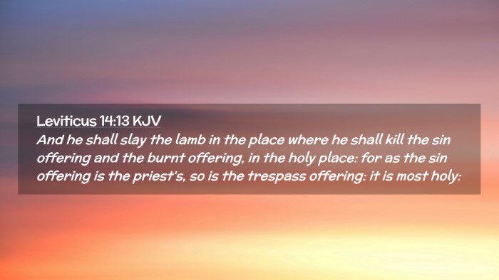 Picture 02 - Leviticus 14:13 KJV Desktop Wallpaper - And he shall slay the lamb in the place where he - Desktop Bible Verse Wallpaper