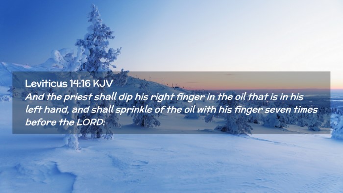 Picture 02 - Leviticus 14:16 KJV Desktop Wallpaper - And the priest shall dip his right finger in the - Desktop Bible Verse Wallpaper