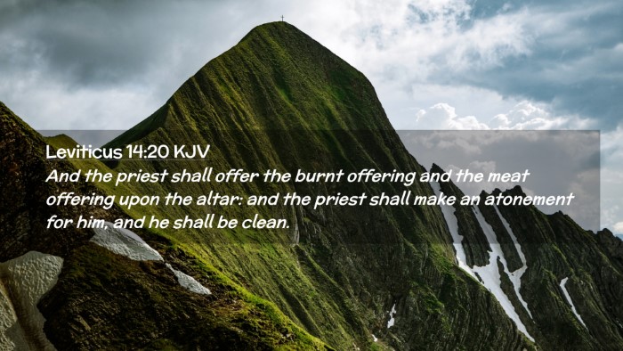 Picture 02 - Leviticus 14:20 KJV Desktop Wallpaper - And the priest shall offer the burnt offering and - Desktop Bible Verse Wallpaper