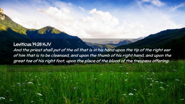 Picture 02 - Leviticus 14:28 KJV Desktop Wallpaper - And the priest shall put of the oil that is in - Desktop Bible Verse Wallpaper