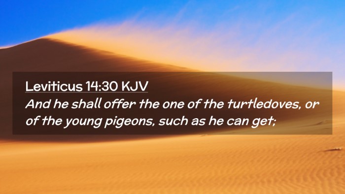 Picture 02 - Leviticus 14:30 KJV Desktop Wallpaper - And he shall offer the one of the turtledoves, or - Desktop Bible Verse Wallpaper