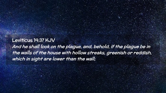 Picture 02 - Leviticus 14:37 KJV Desktop Wallpaper - And he shall look on the plague, and, behold, if - Desktop Bible Verse Wallpaper