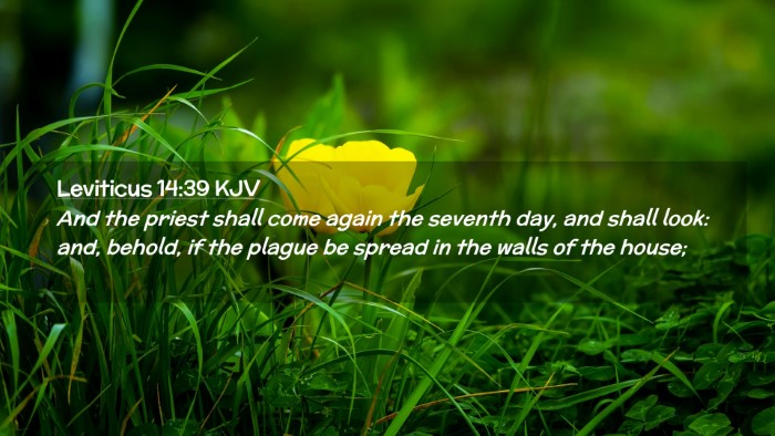 Picture 02 - Leviticus 14:39 KJV Desktop Wallpaper - And the priest shall come again the seventh day, - Desktop Bible Verse Wallpaper
