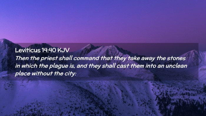 Picture 02 - Leviticus 14:40 KJV Desktop Wallpaper - Then the priest shall command that they take away - Desktop Bible Verse Wallpaper