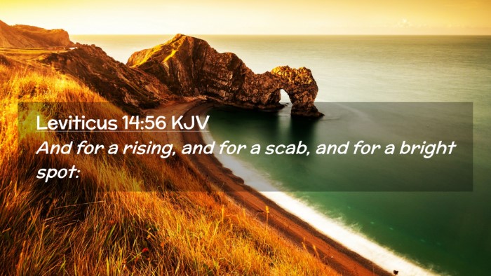 Picture 02 - Leviticus 14:56 KJV Desktop Wallpaper - And for a rising, and for a scab, and for a - Desktop Bible Verse Wallpaper