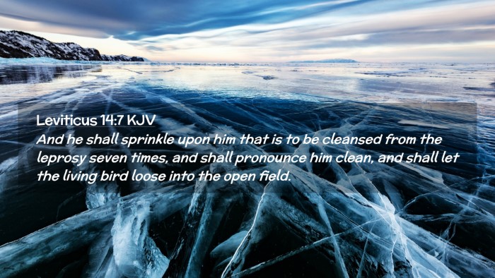 Picture 02 - Leviticus 14:7 KJV Desktop Wallpaper - And he shall sprinkle upon him that is to be - Desktop Bible Verse Wallpaper