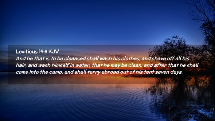 Picture 02 - Leviticus 14:8 KJV Desktop Wallpaper - And he that is to be cleansed shall wash his - Desktop Bible Verse Wallpaper