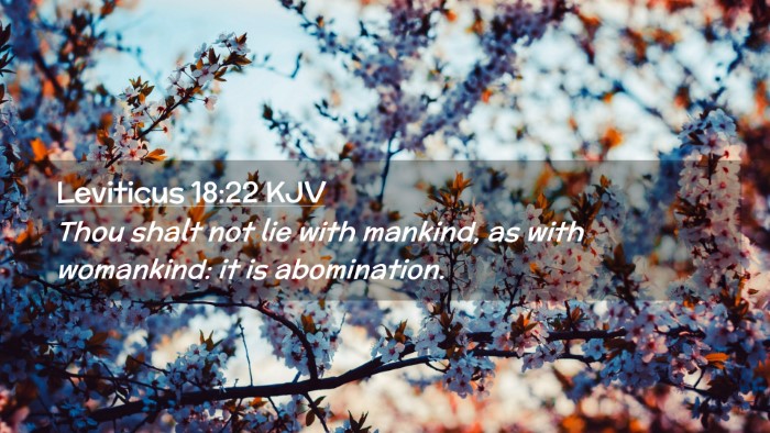 Picture 02 - Leviticus 18:22 KJV Desktop Wallpaper - Thou shalt not lie with mankind, as with - Desktop Bible Verse Wallpaper