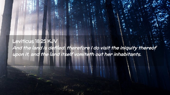 Picture 02 - Leviticus 18:25 KJV Desktop Wallpaper - And the land is defiled: therefore I do visit the - Desktop Bible Verse Wallpaper