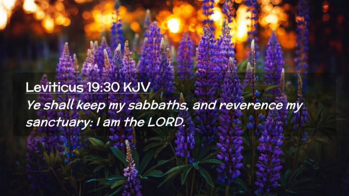 Picture 02 - Leviticus 19:30 KJV Desktop Wallpaper - Ye shall keep my sabbaths, and reverence my - Desktop Bible Verse Wallpaper
