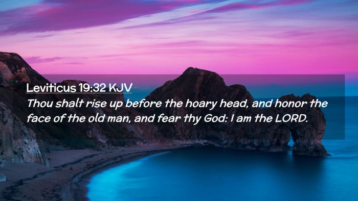 Picture 02 - Leviticus 19:32 KJV Desktop Wallpaper - Thou shalt rise up before the hoary head, and - Desktop Bible Verse Wallpaper