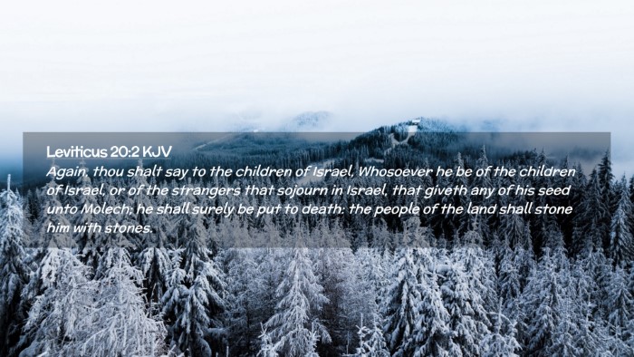 Picture 02 - Leviticus 20:2 KJV Desktop Wallpaper - Again, thou shalt say to the children of Israel, - Desktop Bible Verse Wallpaper