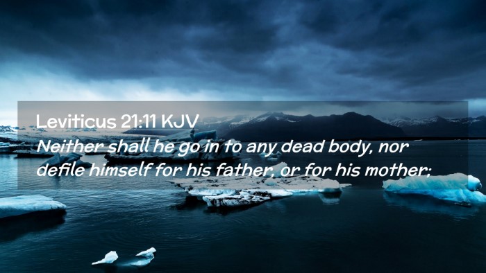 Picture 02 - Leviticus 21:11 KJV Desktop Wallpaper - Neither shall he go in to any dead body, nor - Desktop Bible Verse Wallpaper