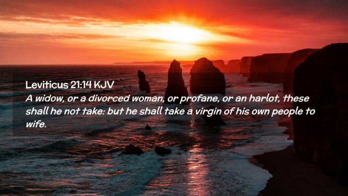 Picture 02 - Leviticus 21:14 KJV Desktop Wallpaper - A widow, or a divorced woman, or profane, or an - Desktop Bible Verse Wallpaper