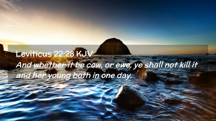 Picture 02 - Leviticus 22:28 KJV Desktop Wallpaper - And whether it be cow, or ewe, ye shall not kill - Desktop Bible Verse Wallpaper