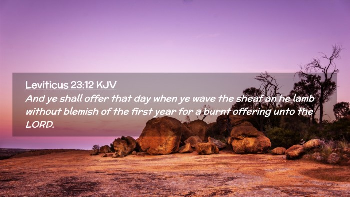 Picture 02 - Leviticus 23:12 KJV Desktop Wallpaper - And ye shall offer that day when ye wave the - Desktop Bible Verse Wallpaper