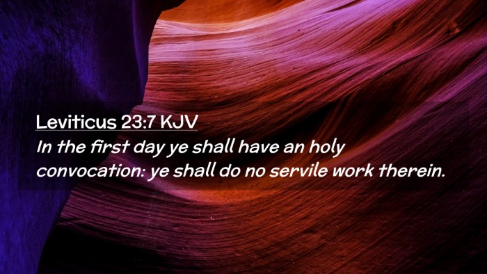 Picture 02 - Leviticus 23:7 KJV Desktop Wallpaper - In the first day ye shall have an holy - Desktop Bible Verse Wallpaper