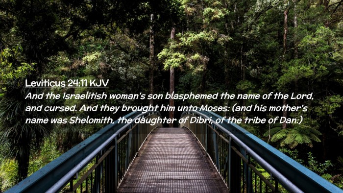 Picture 02 - Leviticus 24:11 KJV Desktop Wallpaper - And the Israelitish woman's son blasphemed the - Desktop Bible Verse Wallpaper