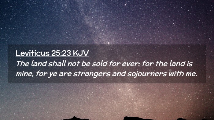 Picture 02 - Leviticus 25:23 KJV Desktop Wallpaper - The land shall not be sold for ever: for the land - Desktop Bible Verse Wallpaper