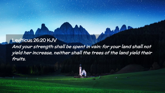 Picture 02 - Leviticus 26:20 KJV Desktop Wallpaper - And your strength shall be spent in vain: for - Desktop Bible Verse Wallpaper
