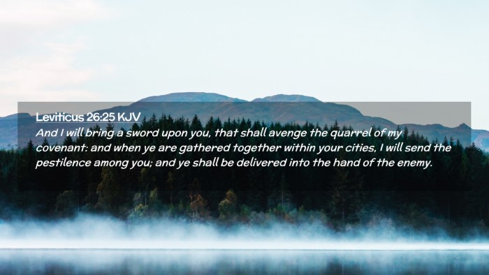 Picture 02 - Leviticus 26:25 KJV Desktop Wallpaper - And I will bring a sword upon you, that shall - Desktop Bible Verse Wallpaper